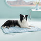 🍃Cooling Comfort Mat for Pets❄