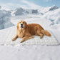 🍃Cooling Comfort Mat for Pets❄